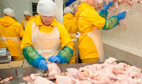 Promisiune din 2017, îndeplinită abia în 2024: Moldova va putea exporta carne de pasăre în UE