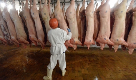 Câte întreprinderi din Rusia au dreptul să exporte produse de origine animală în ...