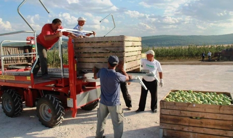 Din iulie 2018 nicio companie din Moldova nu a obținut dreptul de a exporta fructe ...