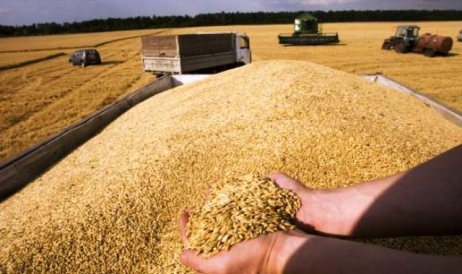 Acordul privind exportul de cereale ucrainene a expirat. Ce va urma