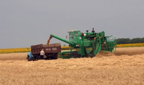 Profitul agricultorilor de la cultivarea cerealelor și oleaginoaselor, în scădere de ...