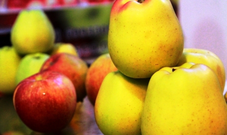 Un nou experiment rusesc! 43 companii, în special din Găgăuzia pot exporta fructe în ...
