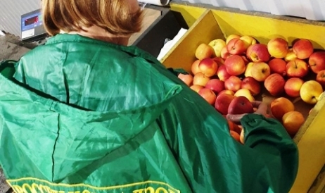 Rusia impune un nou embargo la fructele din Moldova