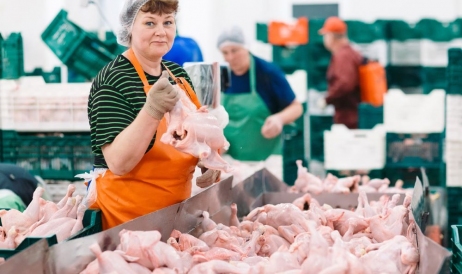 Premieră: Moldova a obținut dreptul să exporte, în UE, carne procesată de pasăre și ...