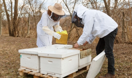 Moldova se poate mândri cu un instrument inovativ în apicultură: Ce trebuie să facă ...