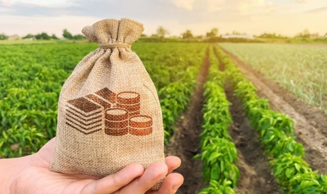 Peste 60% din subvenţiile plătite agricultorilor în 2023 au fost de fapt plata ...