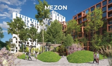 Proiectul Mezon în vizorul experților: ...